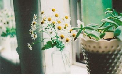 生病感冒难受图片 感冒难受说说图片带字