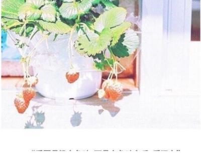 绝望的说说 崩溃绝望句子说说心情