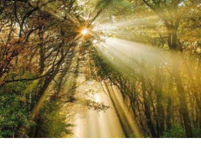 想哭的说说 心里难受想哭的图片