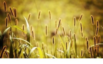 收到礼物感谢心情说说 收到礼物后的幽默说说