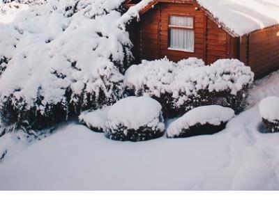 一直爱你陪伴你的说说 我爱你说说配图