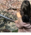 简短语句优美的句子_我发现我无法承受这种失落的感觉
