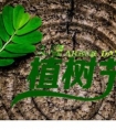 抖音感叹人生伤感的句子/把所有的悲伤和曲折整理出来