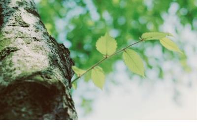 qq说说大全小清新 伤感说说配图