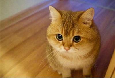 爱情真理伤感说说 伤感爱情说说大全短篇