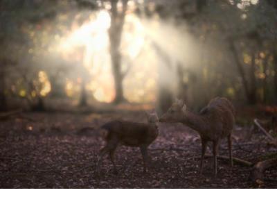 文艺正能量 小清新句子