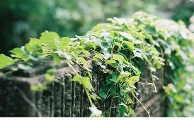 经典语录 心情说说感悟生活