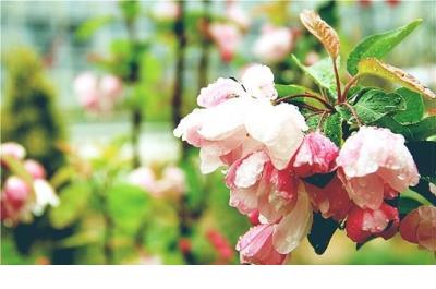 经典语录 心情说说感悟生活