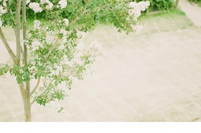 一个人孤独伤感的说说 一个人心情低落的说说