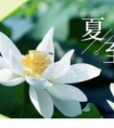 爱情的句子唯美短句/浪漫的爱情句子送给爱人