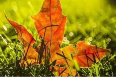 50句精选6.1儿童节短信祝福语