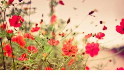 浪漫情话短句10字