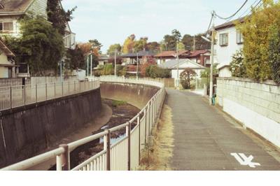 唯美文字手机壁纸