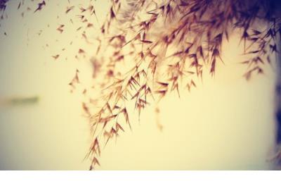 2013最有意思的QQ搞笑说说大全