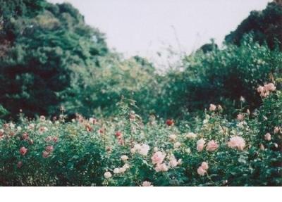 心情不好不迁怒于人的说说