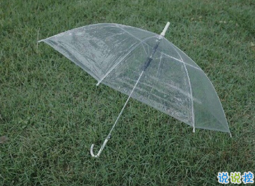 温柔到爆的神仙句子 朋友圈温柔唯美说说1