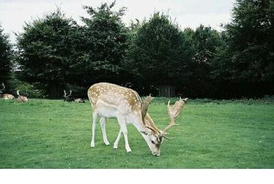 你以为你身材好