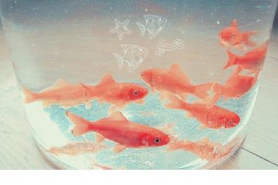 感情消磨殆尽的说说