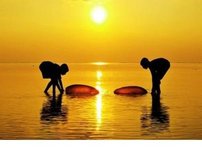 图片头像微信伤感