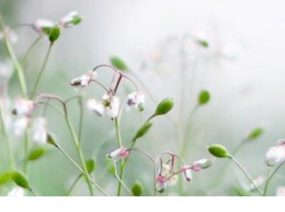 爱情就像鬼相信的人多