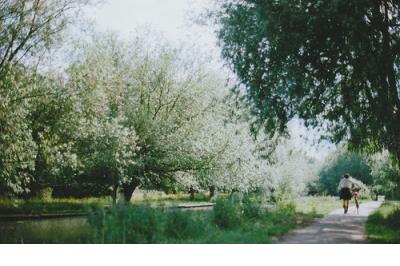 愿爱情长久的古风句子