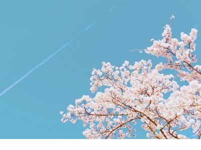 关于青春伤感的经典说说大全