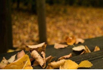 很有内涵的早安的说说