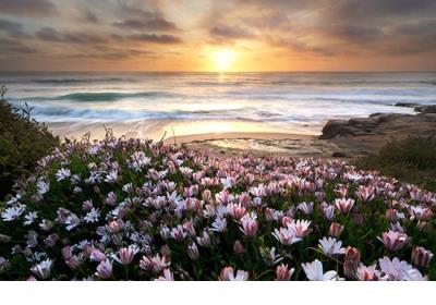 情话最暖心短句