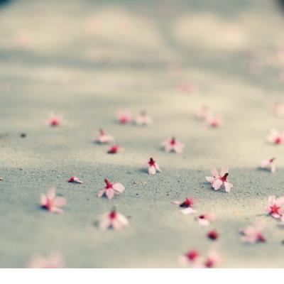 被甜蜜幸福围绕的句子