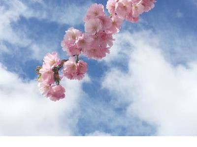 肚子饿的说说搞笑句子