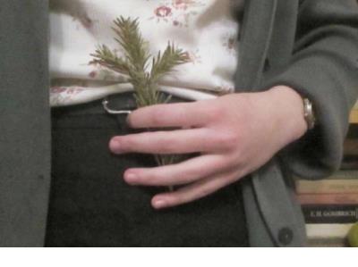 胡思乱想伤感说说