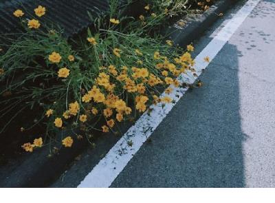 情侣留言给女朋友长句