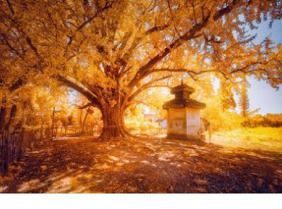 关于长斑的搞笑的说说