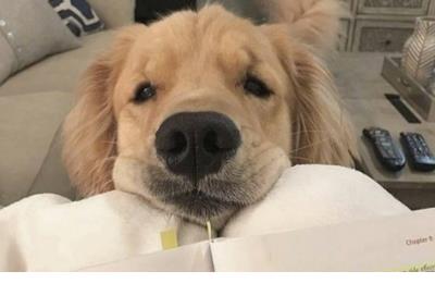 不是因为有希望才去努力