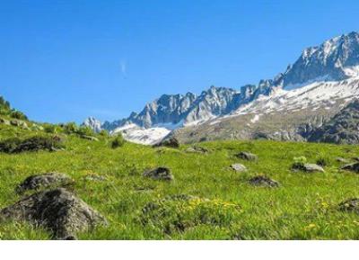 唯美文字手机壁纸