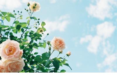 有时候清醒有时候糊涂