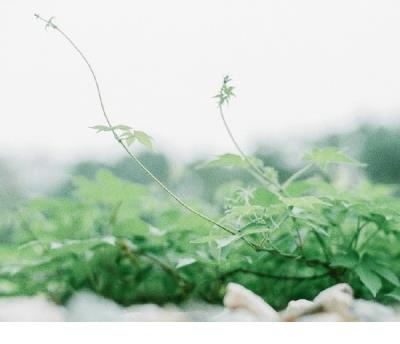 2019年情话说说、有感触的一句话