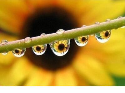 思念怀念一个人的句子