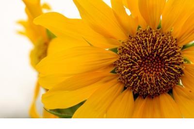 写说说的句子描写心情