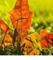 六一儿童节寄语简短*祝你找到真正的童年
