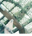 爱的理解和感悟句子|我喜欢你拥有的方式,你喜欢她拥有的方式