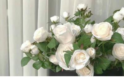 突然不想上班搞笑说说