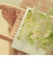 心情低落很无奈的说说发朋友圈*你说过你会忘记我,我只是希望你能快点忘记我