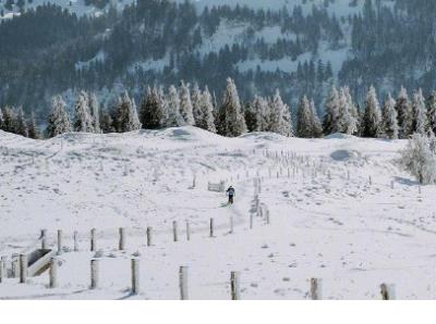 简单一个人的心情短语