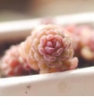 形容冷暖自知的经典句子:刚开始的时候,我总是觉得未来的日子很长