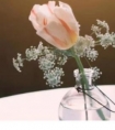 简简单单生活心情短句子/你可以因为某个人而成熟,但不要因为他而世俗