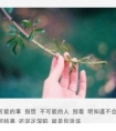 宝宝一百天发微信朋友圈的说说|愿你用青春的青春来酝酿未来丰富的秋天