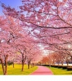 教师风采一句话个人寄语句子*不屈不挠的毅力可以征服世界任何一个角落