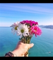 交缠喘息律动粗壮花蒂/宝贝今天怎么这么热情