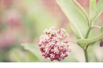 励志说说文字 励志说说致自己